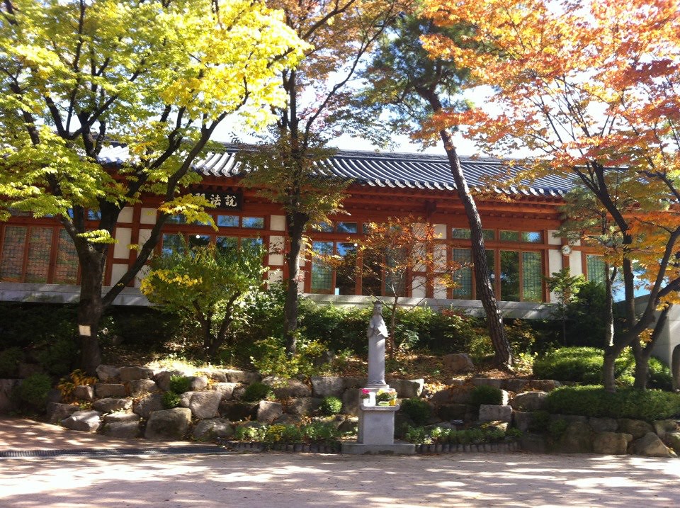 Maple Tree House