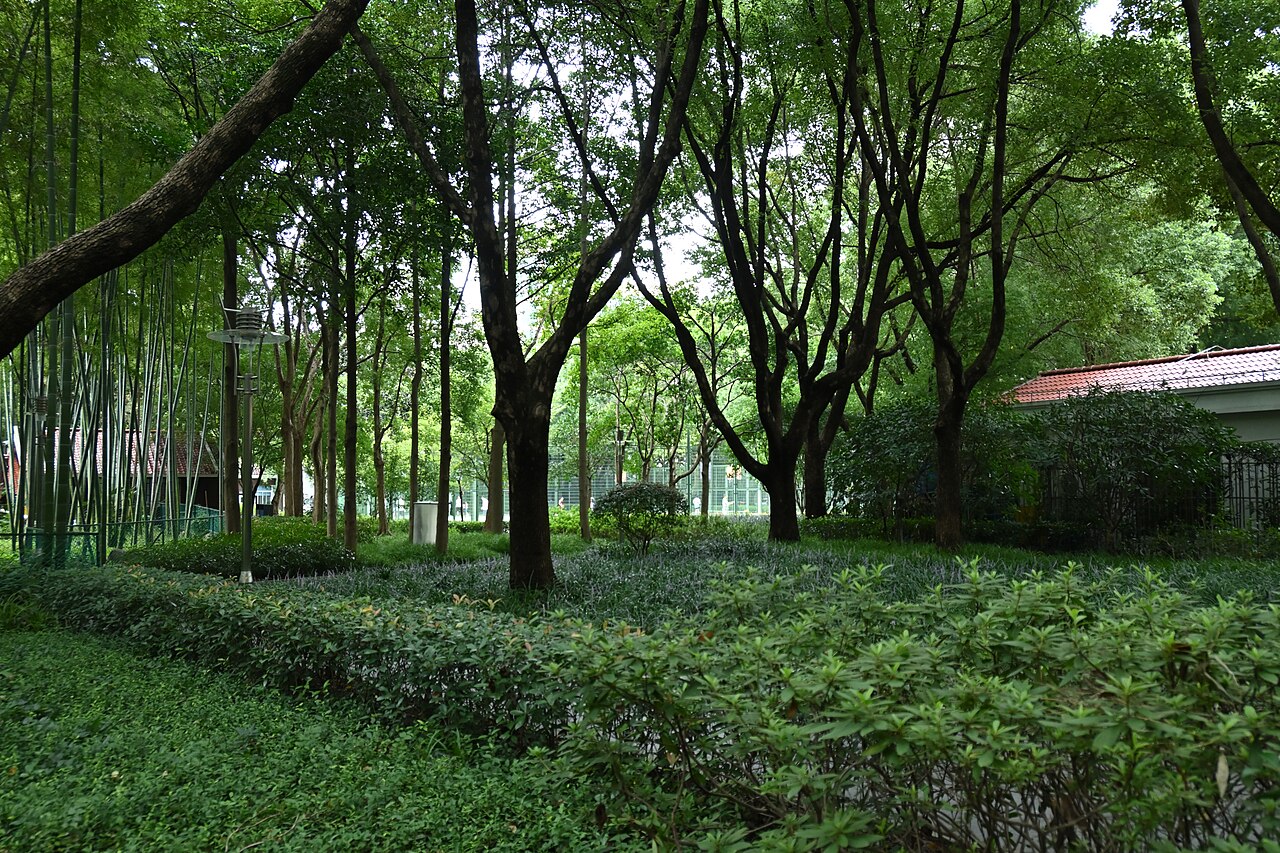 Xujiahui Park