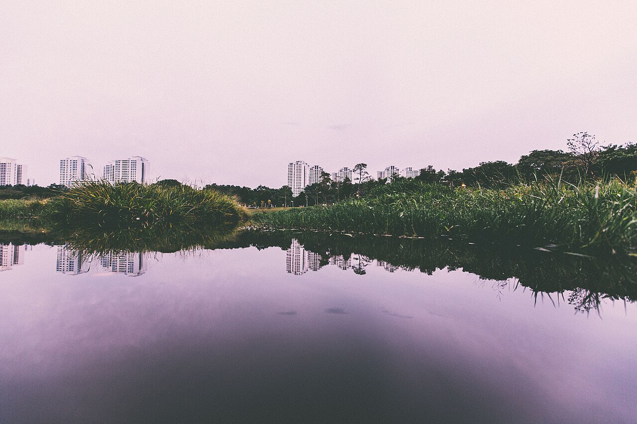Bishan-Ang Mo Kio Park
