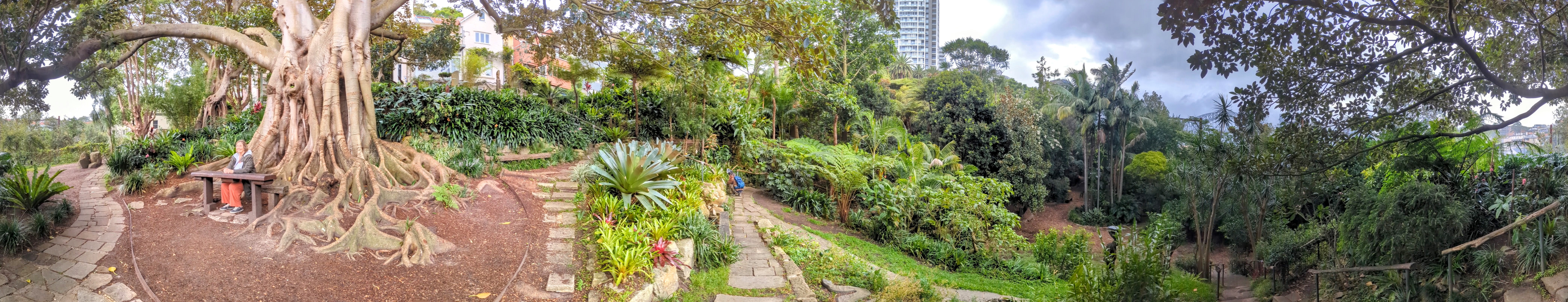 Wendy's Secret Garden
