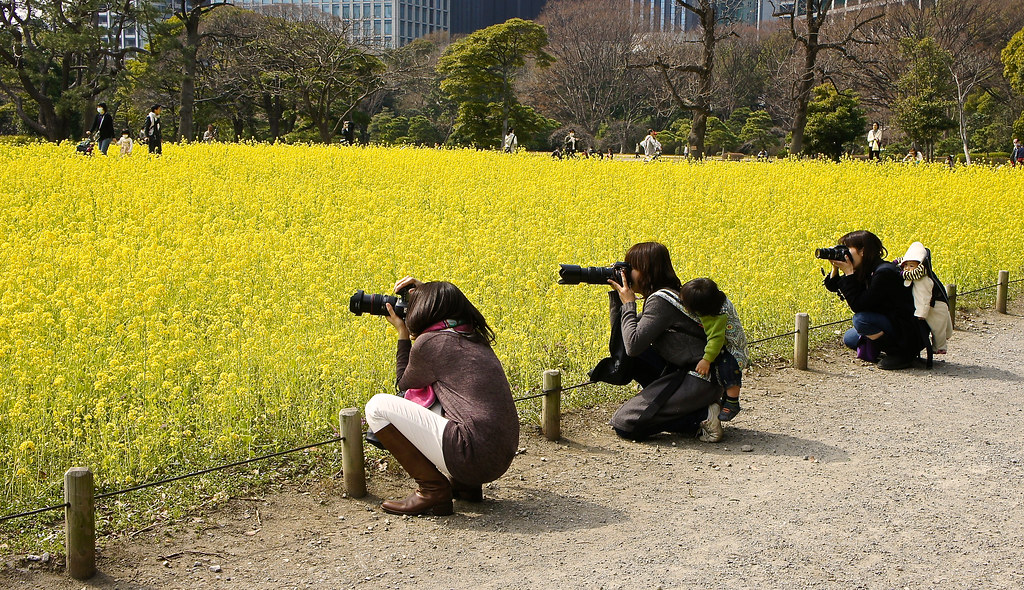 Hamarikyu Gardens