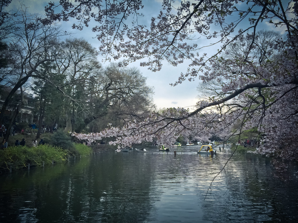 Inokashira Park