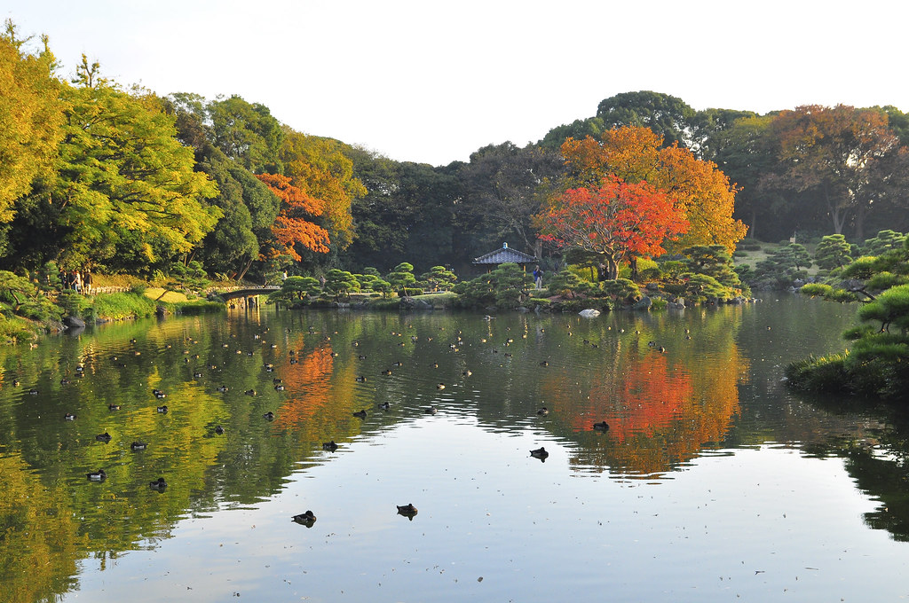 Kiyosumi Garden