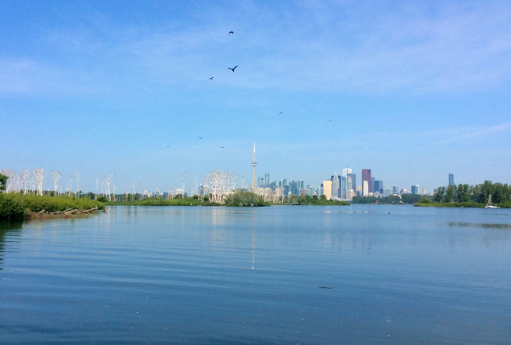 Tommy Thompson Park (Leslie Street Spit)