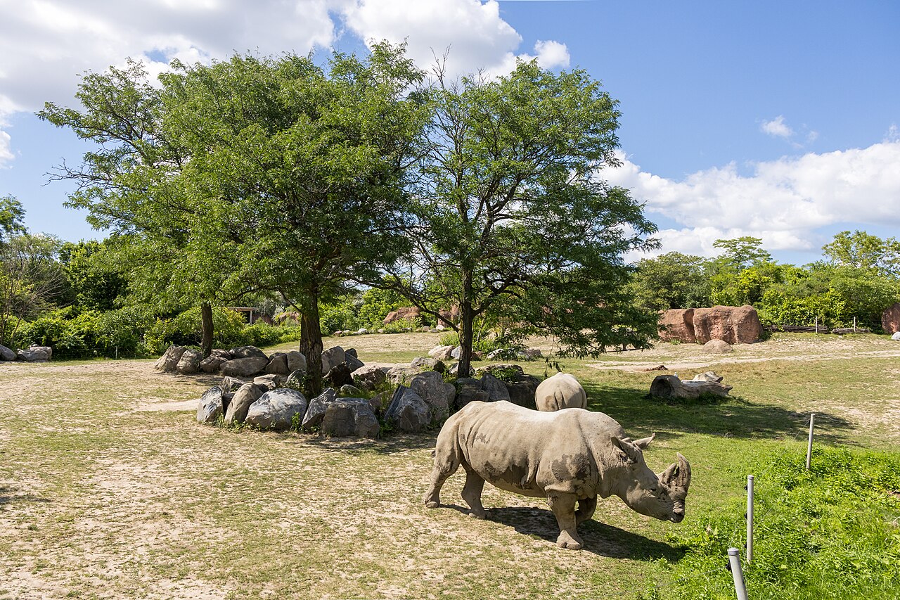 Toronto Zoo