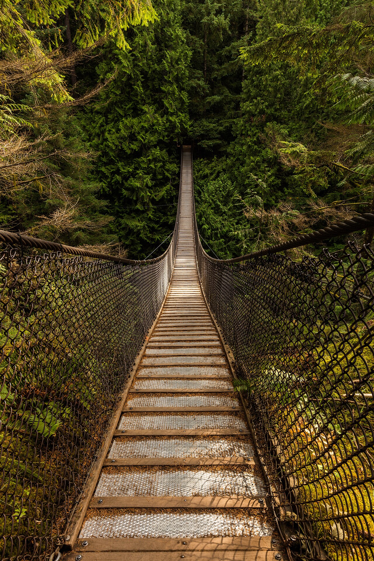 Lynn Canyon Park