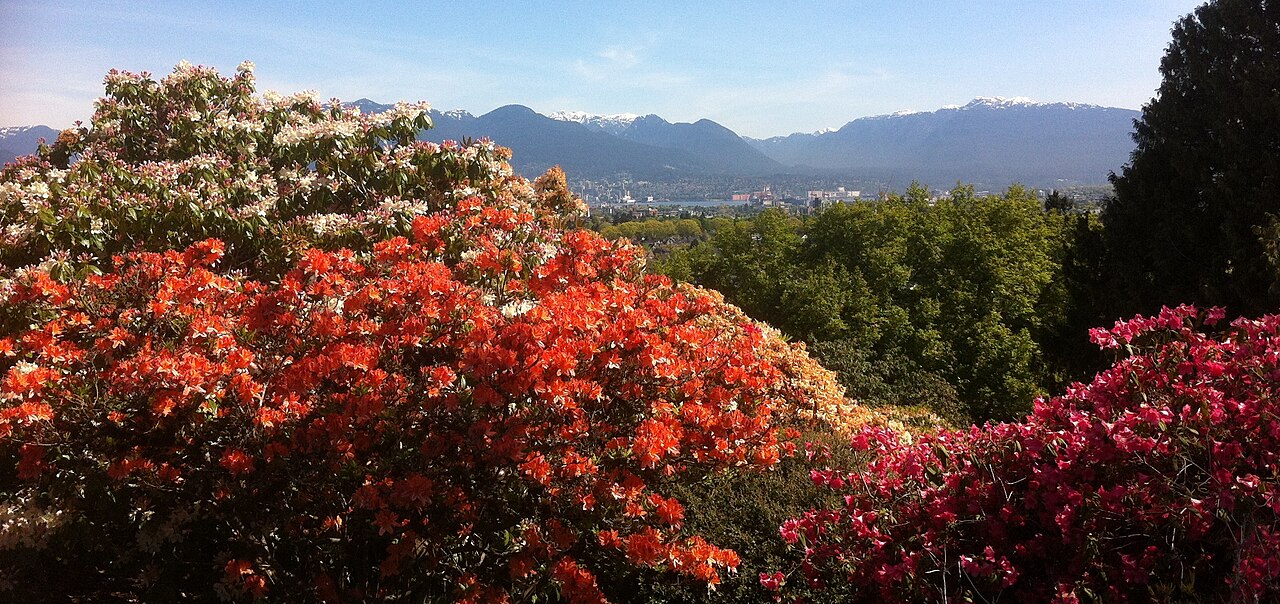 Queen Elizabeth Park