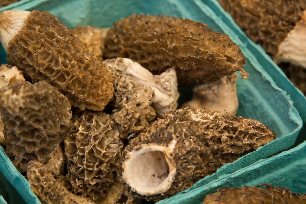 Trout Lake Farmers Market