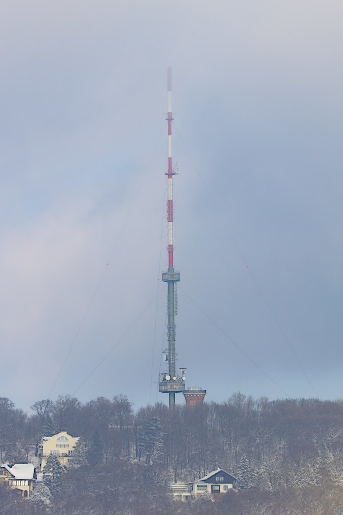Mast