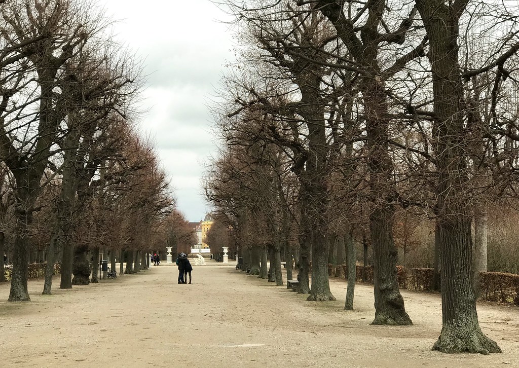 Schönbrunn Palace Park