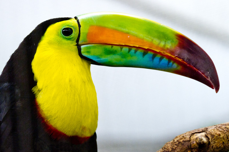 Smithsonian National Zoo