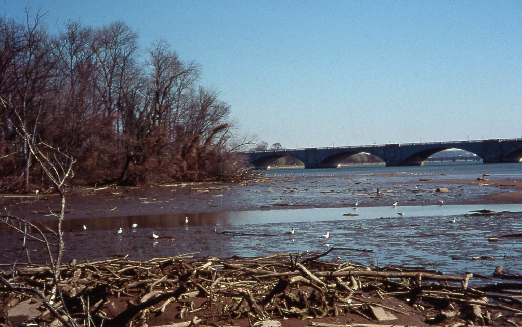 Theodore Roosevelt Island
